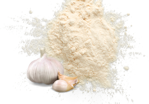 Dehydrated Products - Garlic Powder