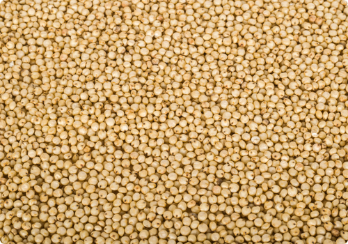 Magiqa-GrainsCereal-Jawari