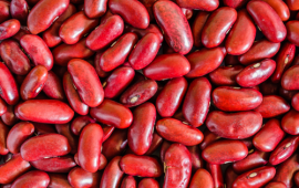 Magiqa-Kidney-beans