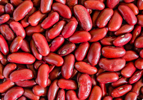 Magiqa-Kidney-beans