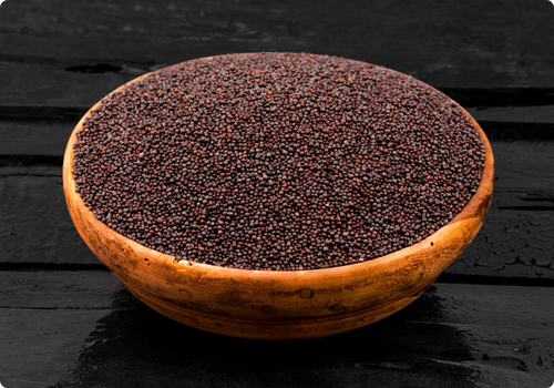 Magiqa-Mustard-seeds