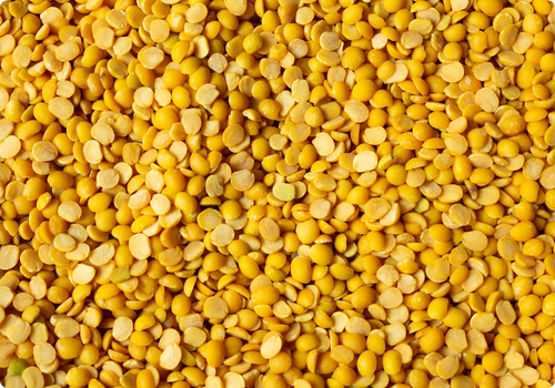 Magiqa-Pigeon-pea-Arhar-Tur